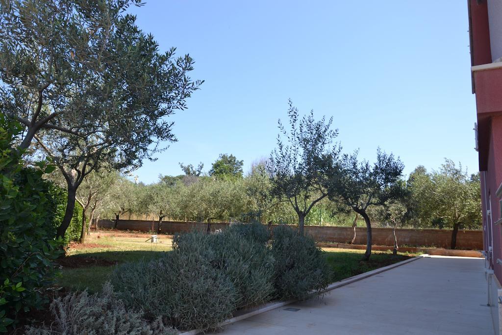 Apartments Roza Μεντουλίν Δωμάτιο φωτογραφία
