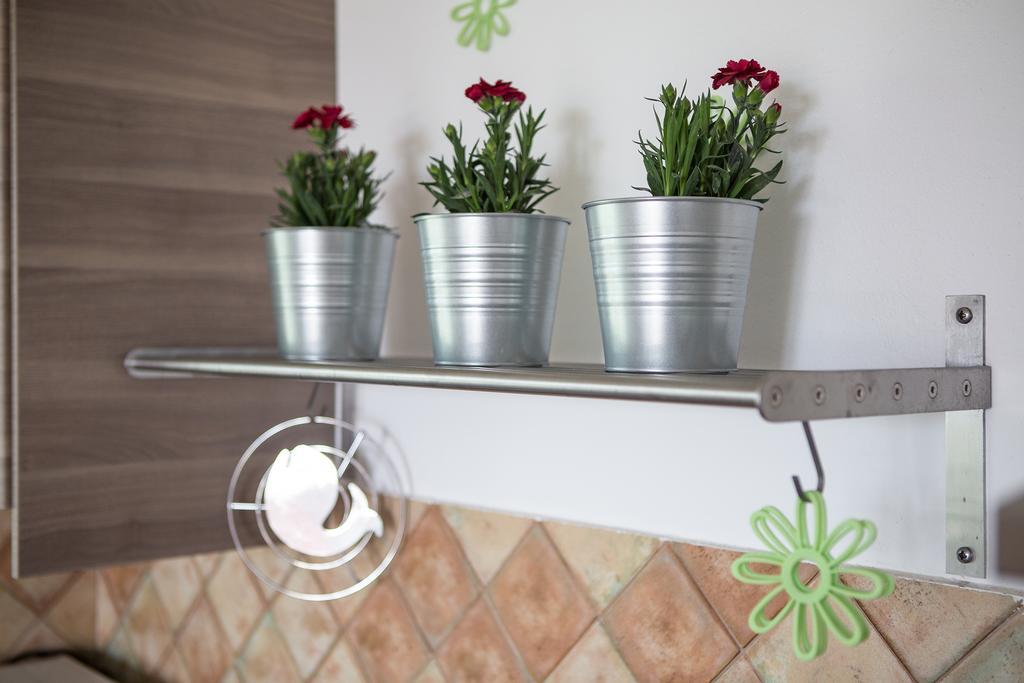 Apartments Roza Μεντουλίν Εξωτερικό φωτογραφία